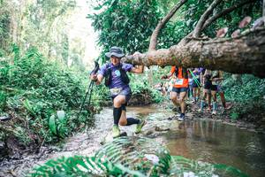 BIB: 
                            <button type="button" onclick="openModal(25476293)" class="btn btn-primary btn-sm float-right btn-popup" data-toggle="modal" data-target=".modal-high-quality">
                        <i class="fas fa-shopping-cart"></i> Add to Cart
                    </button>
                                            <button type="button" onclick="isThisMe(25476293, true)" class="btn btn-success btn-sm float-right btn-popup btn-isme hidden" data-toggle="tooltip" data-placement="bottom" title="นี่คือรูปของคุณใช่ไหม คลิกที่นี่เพื่อเอาเข้าอัลบั้ม">
                        <i class="fas fa-plus"></i> Add to album
                    </button>
                    <button type="button" onclick="isThisMe(25476293, false)" class="btn btn-warning btn-sm float-right btn-popup btn-isnotme hidden">
                        <i class="fas fa-ban"></i> Remove from album
                    </button>